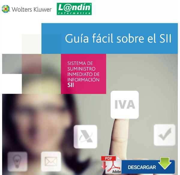 Landín informatica